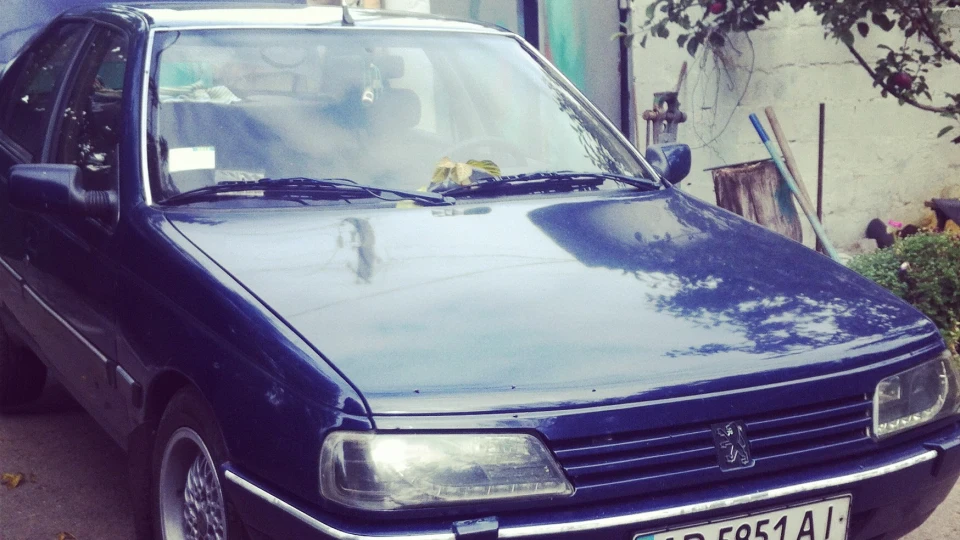 Peugeot 405 2