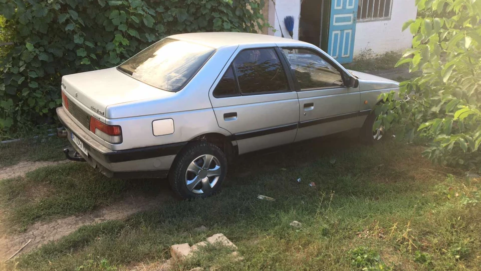 Peugeot 405 Пижик 3