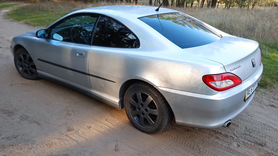 Peugeot 406 Coupe Пушильда 2