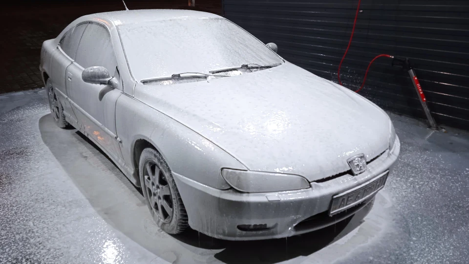 Peugeot 406 Coupe Пушильда 4