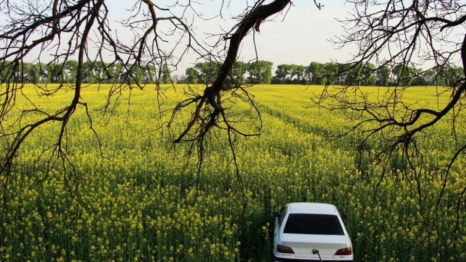 Peugeot 406 Marselle 3