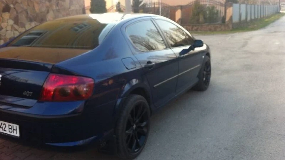 Peugeot 407 SW 3