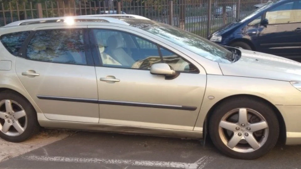 Peugeot 407 SW 2