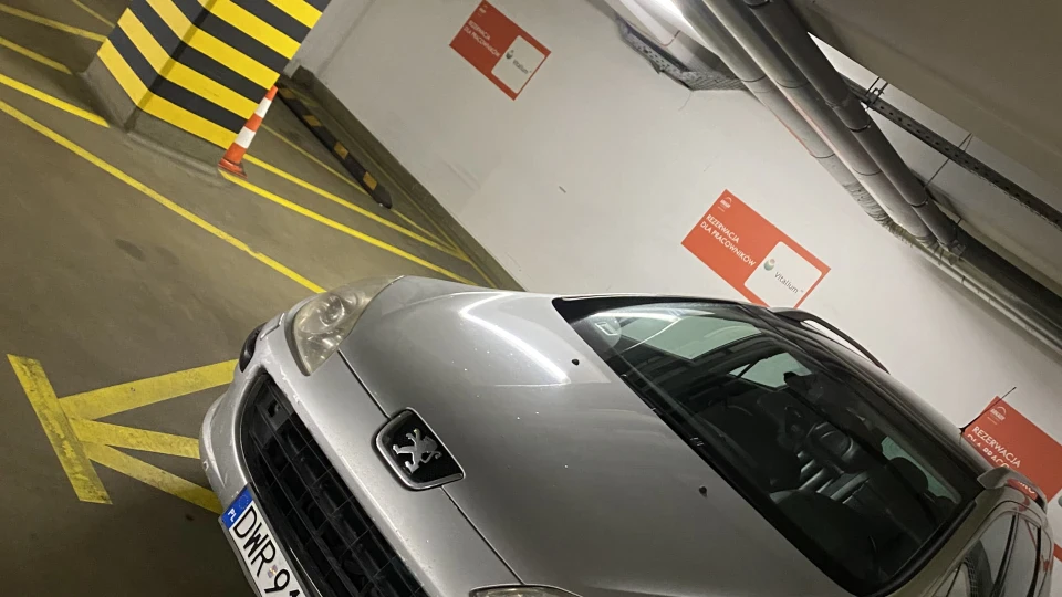Peugeot 407 SW Кріпиш 2