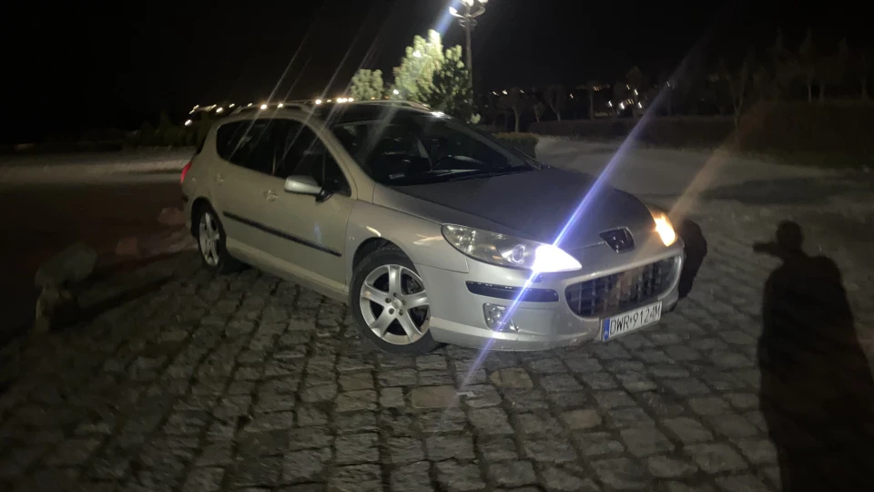 Peugeot 407 SW Кріпиш 3