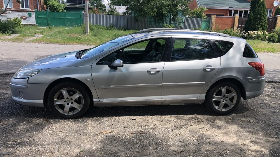 Peugeot 407 SW Лев 2