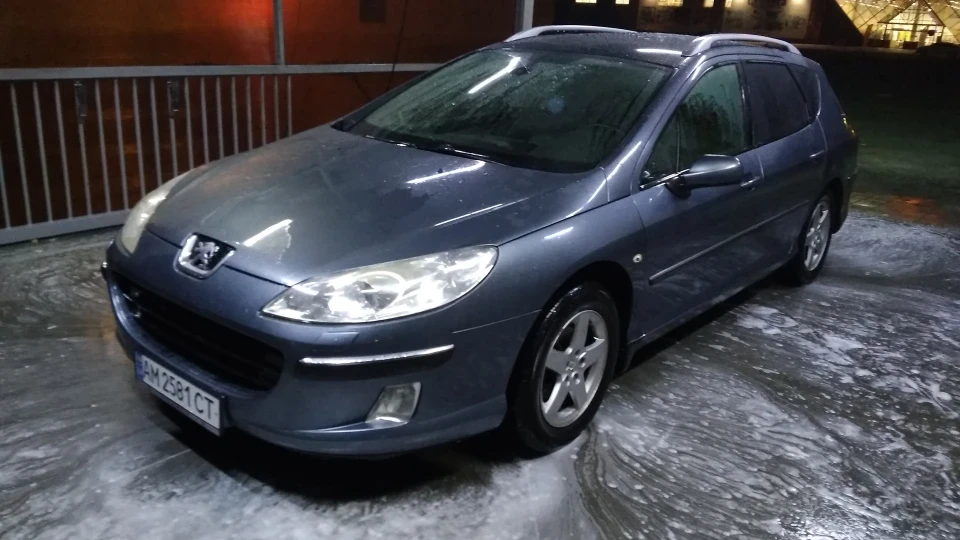 Peugeot 407 SW Жабеня 4