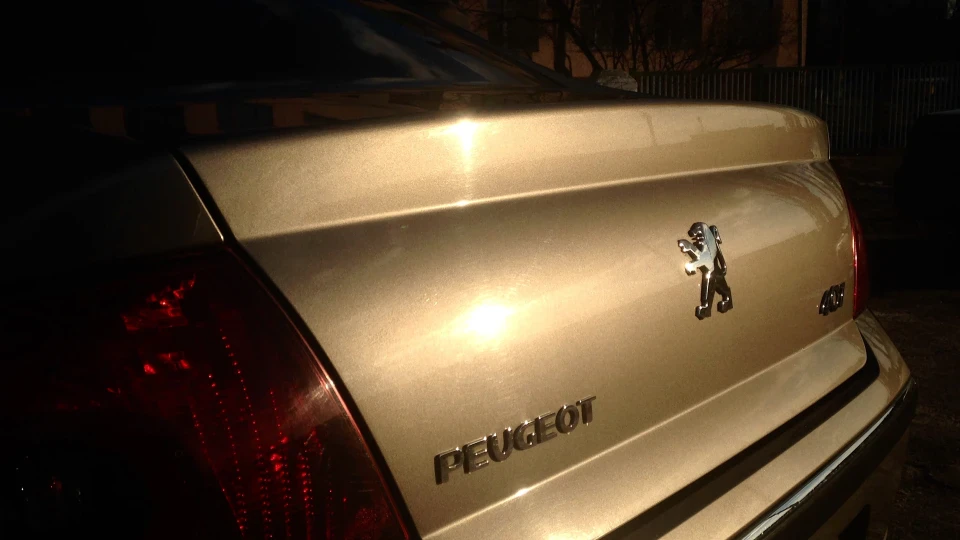 Peugeot 407 2.0 AL4 "Lion King" 3