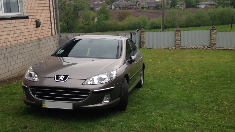 Peugeot 407 2.0 AL4 "Lion King" 4