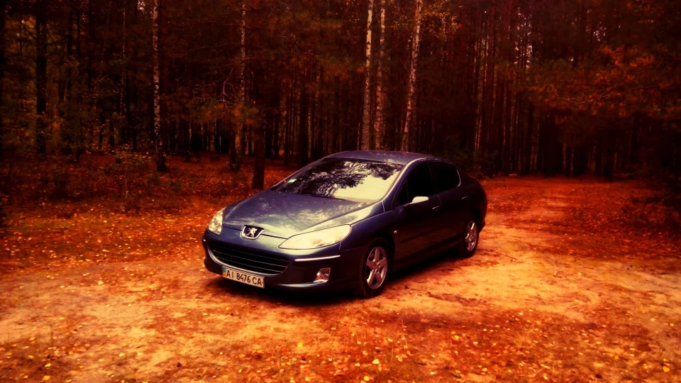 Peugeot 407 2.0, AL4 4
