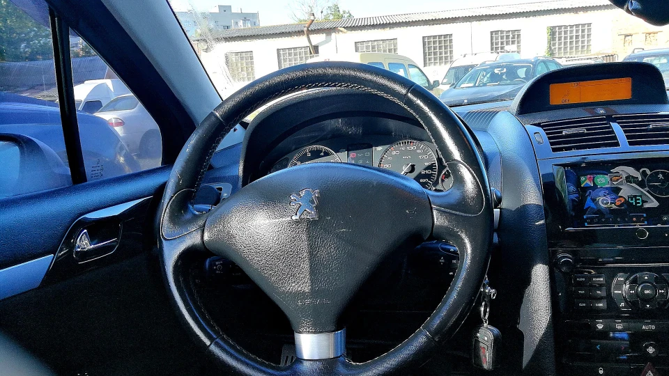Peugeot 407 König der Tiere 2
