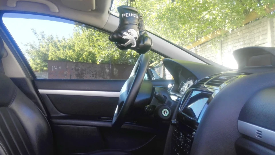 Peugeot 407 König der Tiere 3