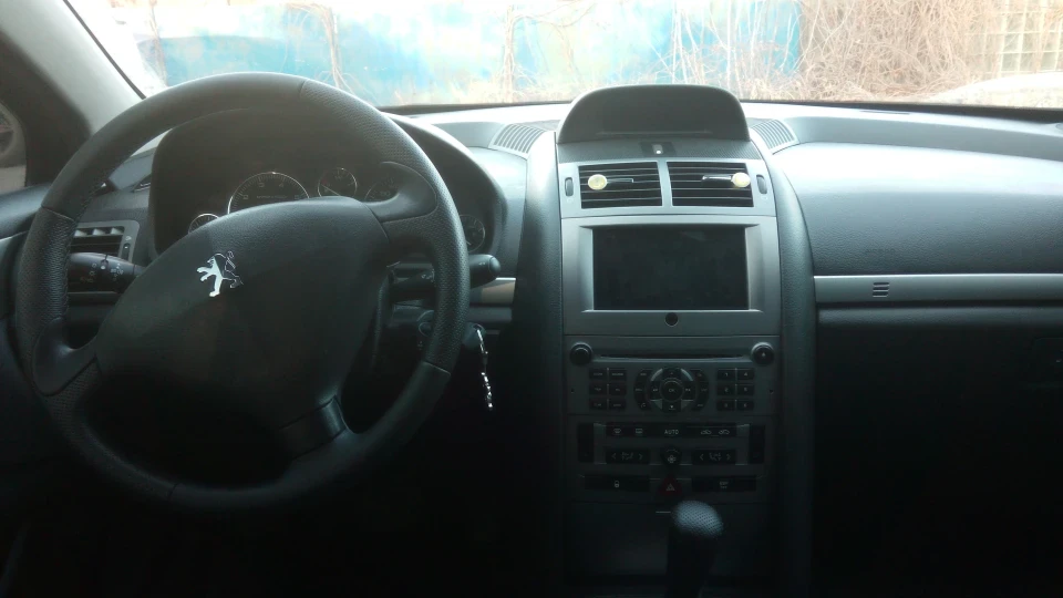 Peugeot 407 Пержик 2