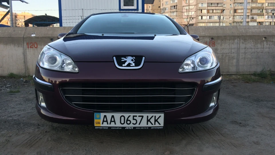 Peugeot 407 Пержик 5