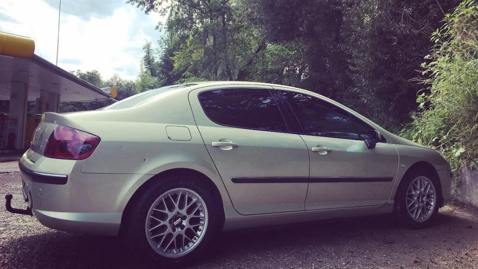 Peugeot 407 Пиж 3