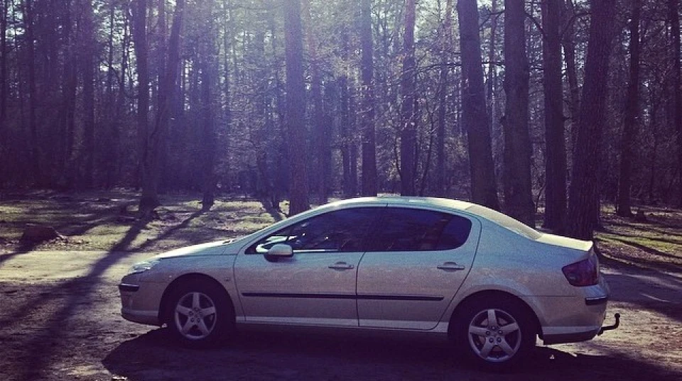 Peugeot 407 Пиж 4
