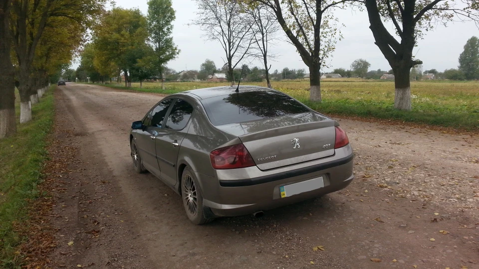 Peugeot 407 сірий лев