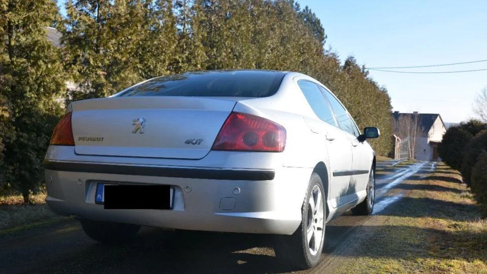 Peugeot 407 "SILVER LEON" 3