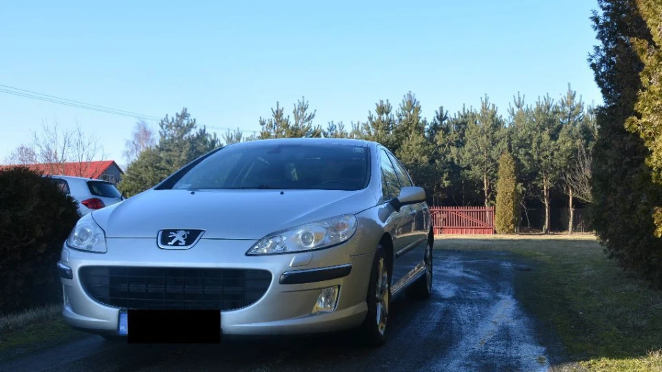 Peugeot 407 "SILVER LEON" 4