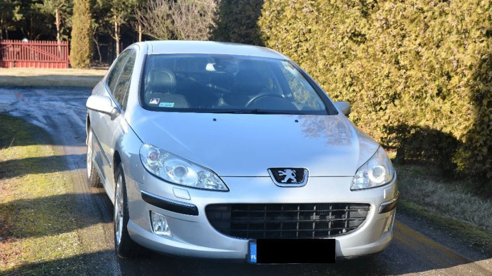 Peugeot 407 "SILVER LEON" 5