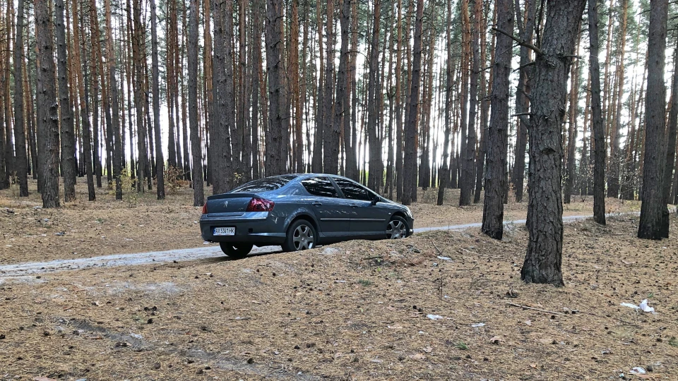 Peugeot 407 Він - Дизель 1.6 HDi 5