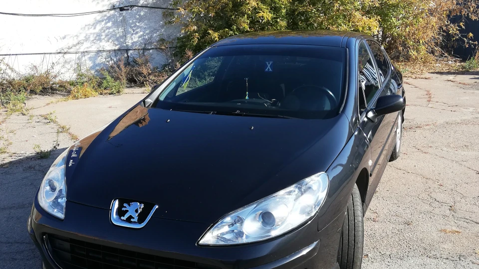 Peugeot 407 Жидомобіль з Левенем на