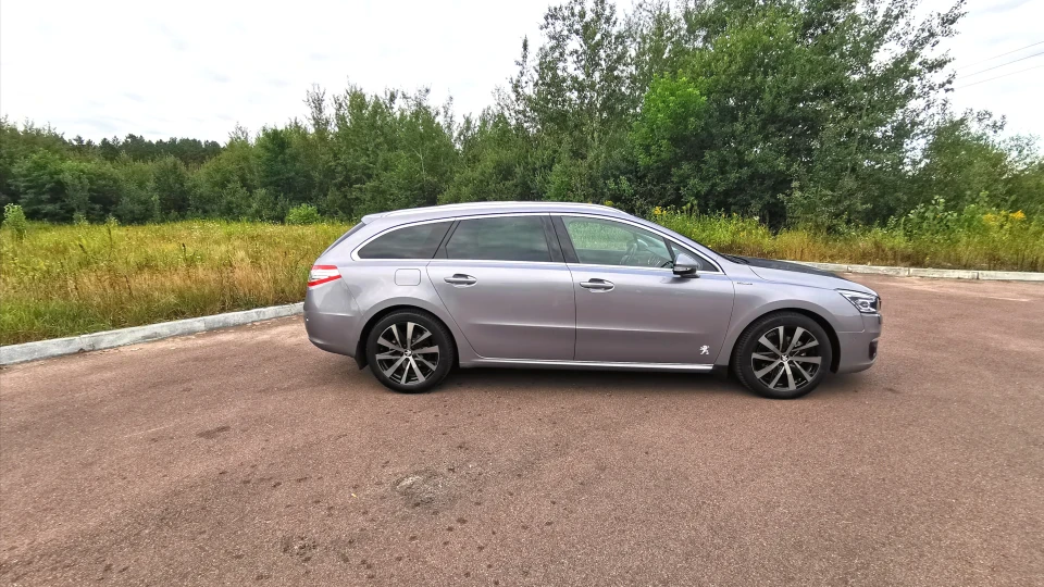 Peugeot 508 SW König der Tiere ІІ 3