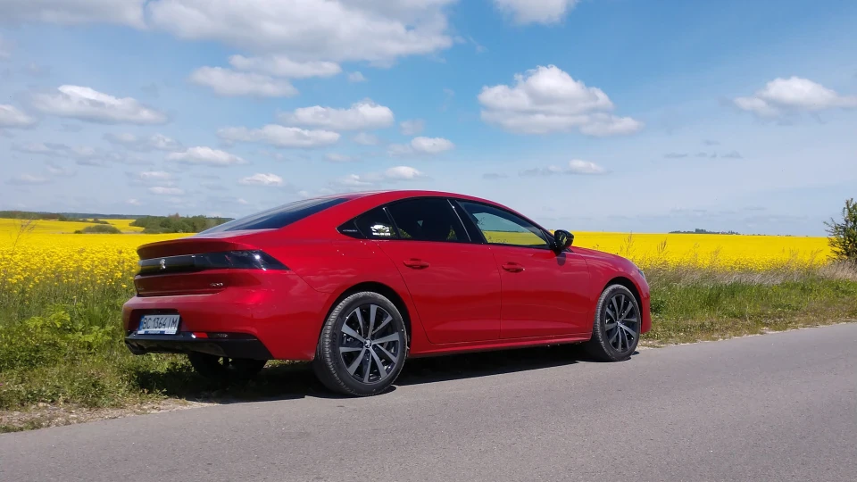 Peugeot 508 Gt line,саблезубий тигр 4