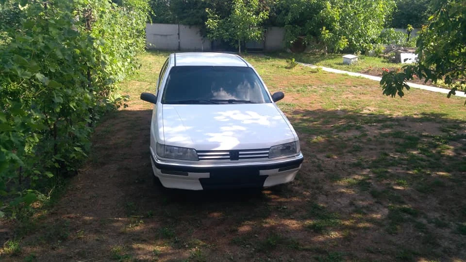 Peugeot 605 Мурчик 2