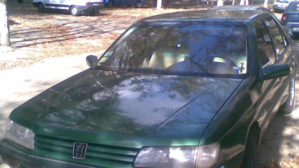 Peugeot 605 Zelenka