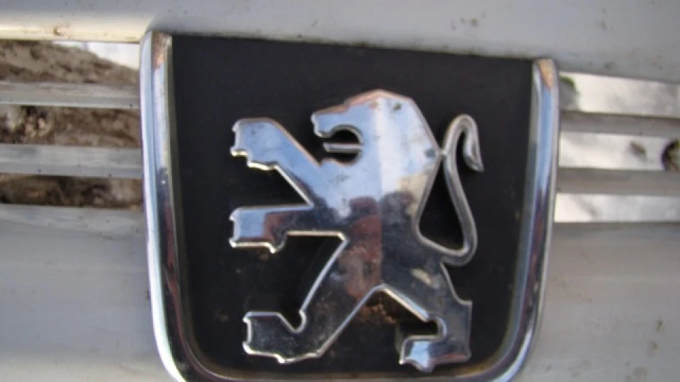 Peugeot Expert 1.9 дизель 2
