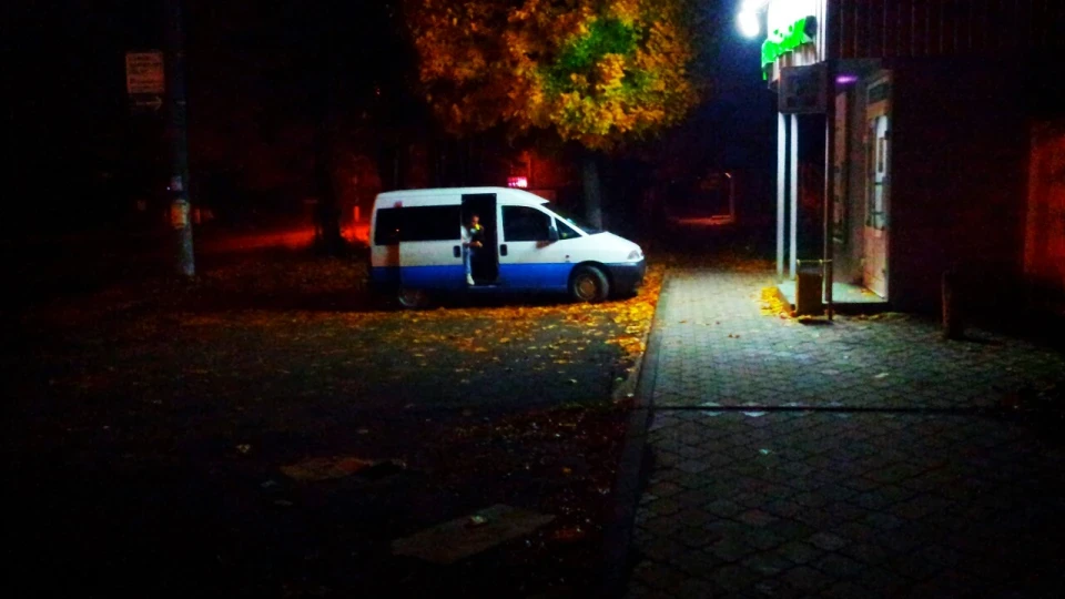 Peugeot Expert Турбо Пижик
