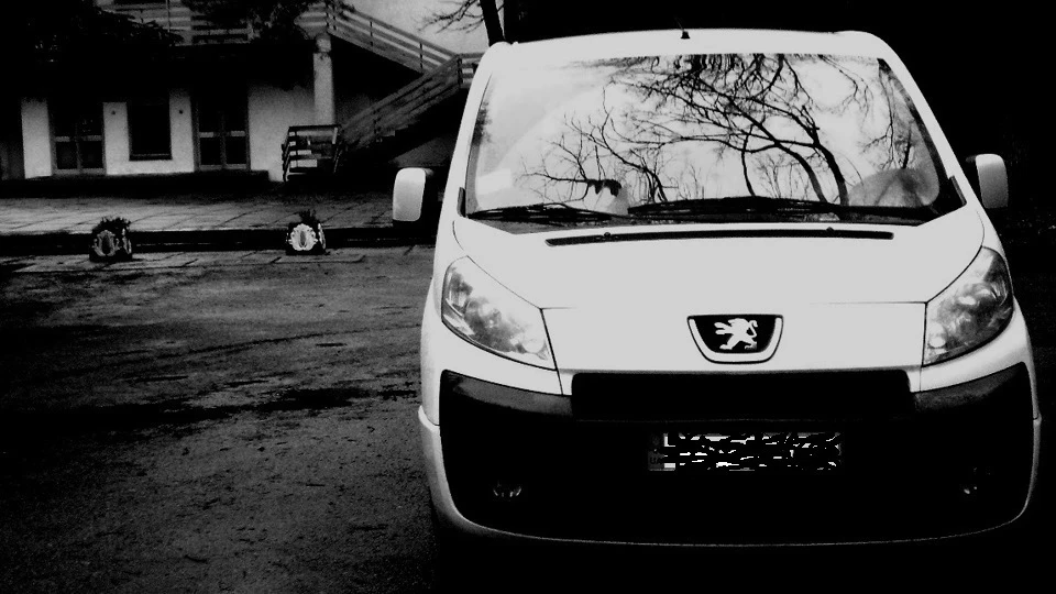 Peugeot Expert «WaLLy" HDi 2