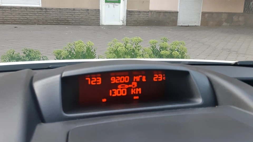 Peugeot Partner Пиж 2
