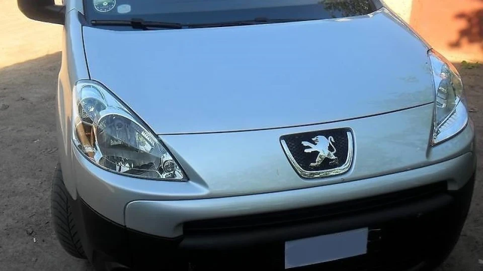 Peugeot Partner Пижик