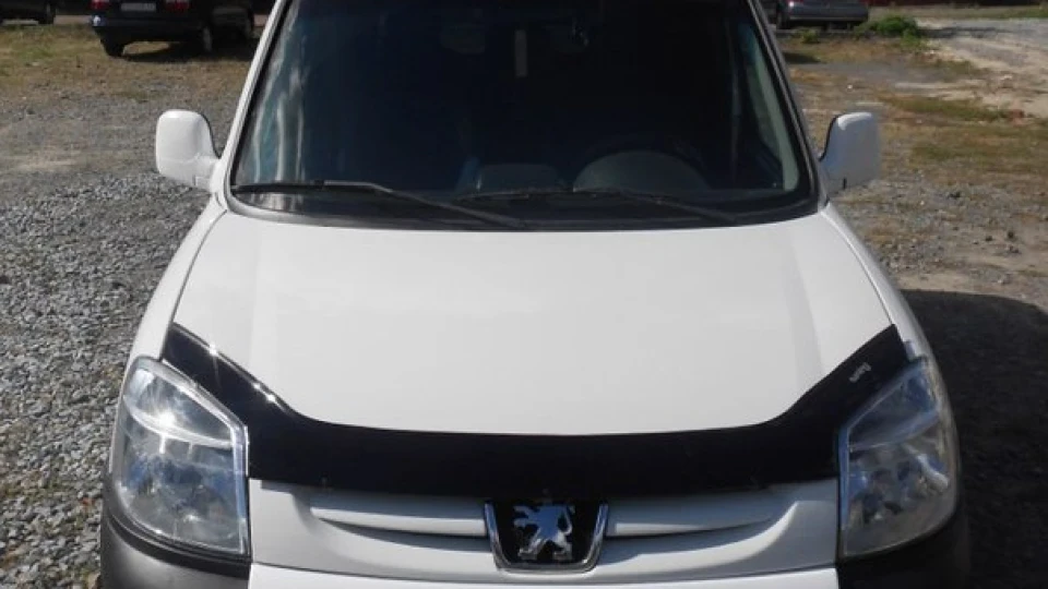 Peugeot Partner Сарайчик) 2