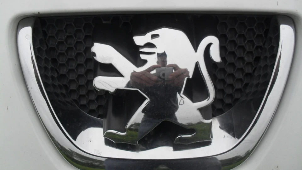 Peugeot Partner хороший варіант! 4