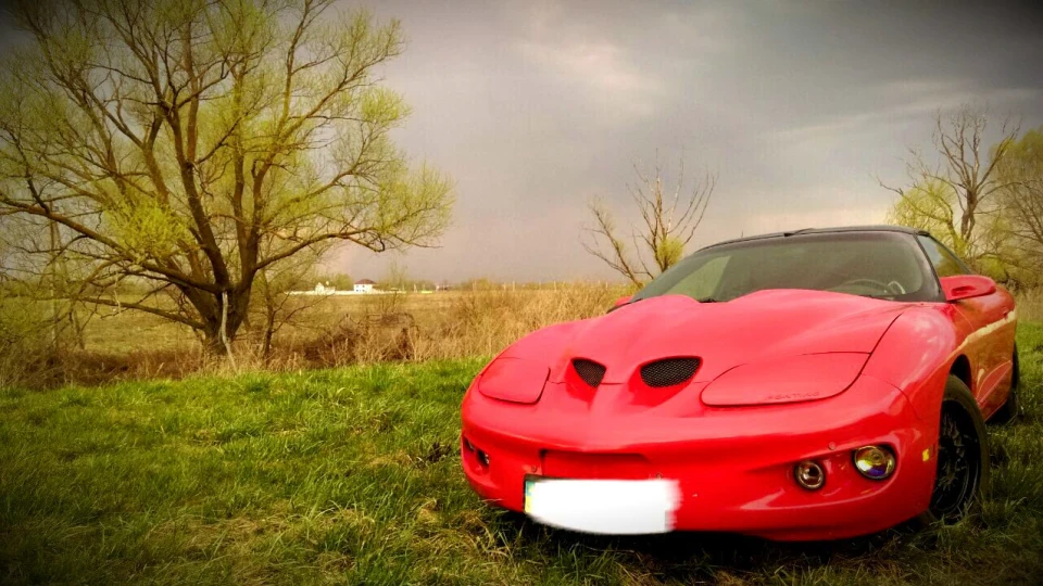 Pontiac Firebird Фаєрбердичів 2