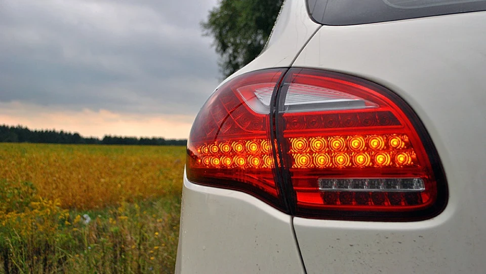 Porsche Cayenne Домашній улюбленець