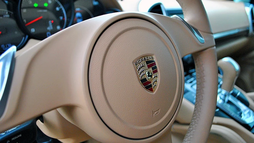 Porsche Cayenne Домашній улюбленець 4