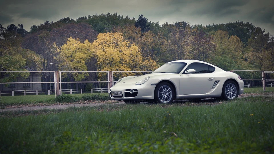 Porsche Cayman Білий КроКо