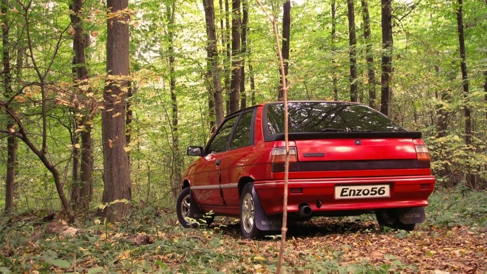 Renault 11 "rare_cars" 2