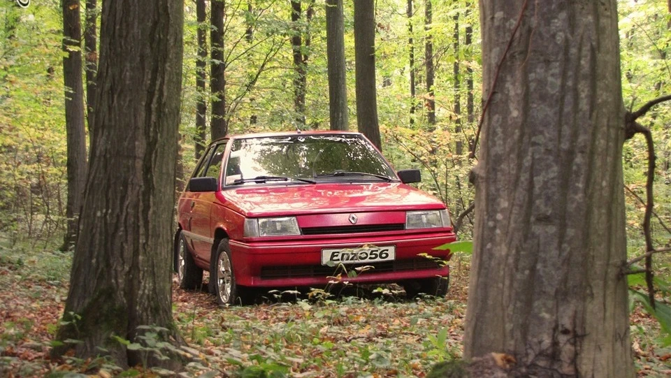Renault 11 "rare_cars" 3