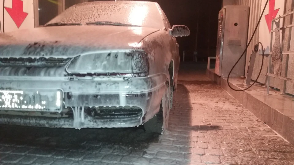 Renault 19 1.7 МОНА 2