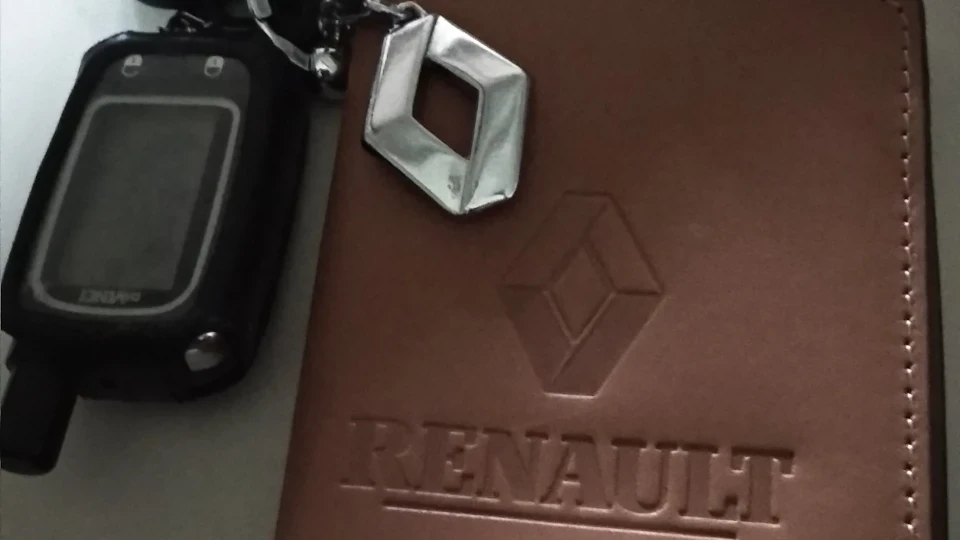 Renault 19 Жабо 2