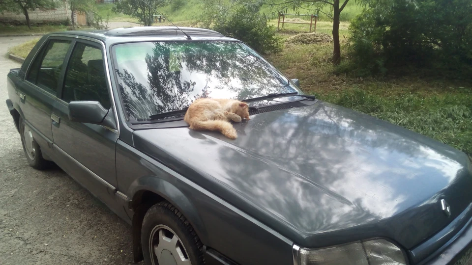 Renault 25 2.9L V6 Слоник 4