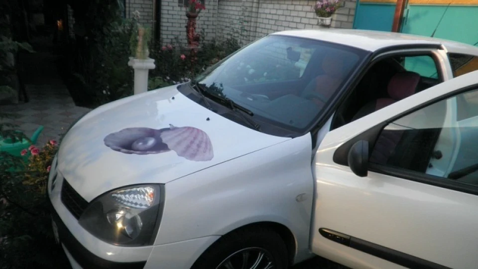 Renault Clio Бусинка 2