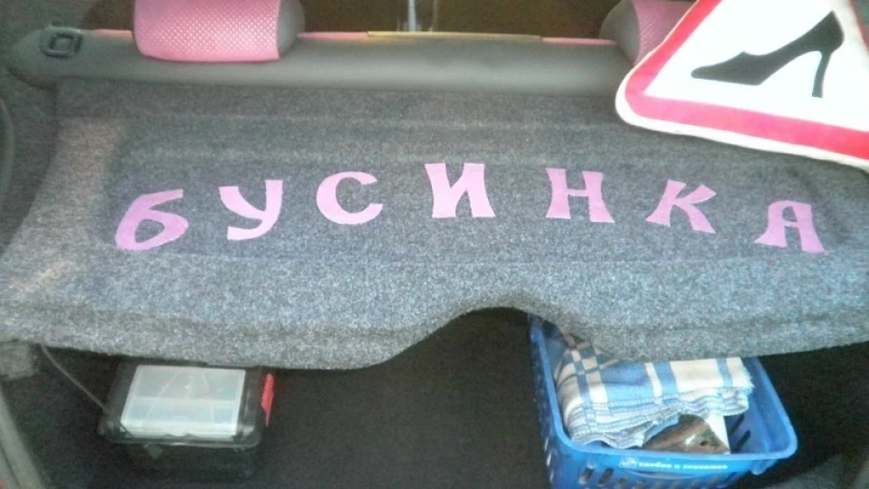 Renault Clio Бусинка 3