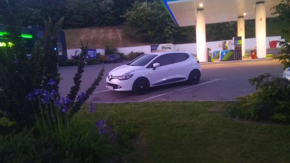 Renault Clio Мурчик
