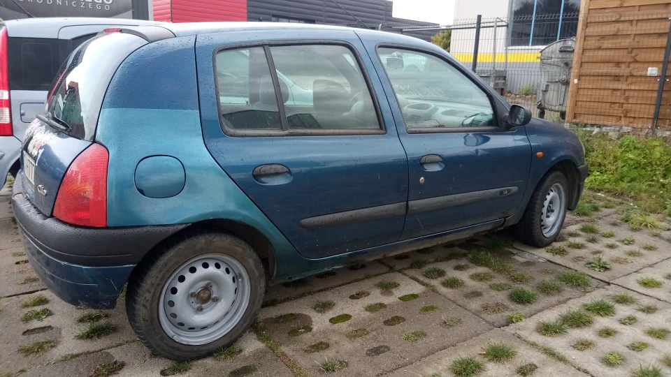 Renault Clio жужик
